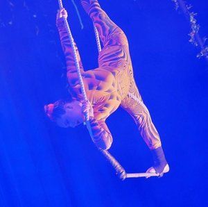 Meet your Posher, Anne